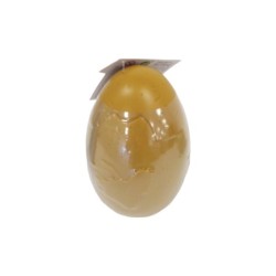 Huevo Mágico Dinosaurio 16,5 cm.