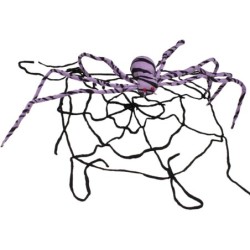 Tela de araña colgante con araña