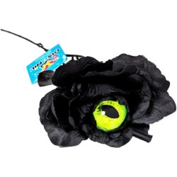 Flor Ojo Verde de Gato