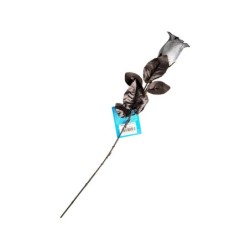 Flor Gris Ojo de Gato