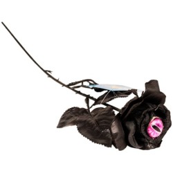 Flor Ojo Rosa de Gato